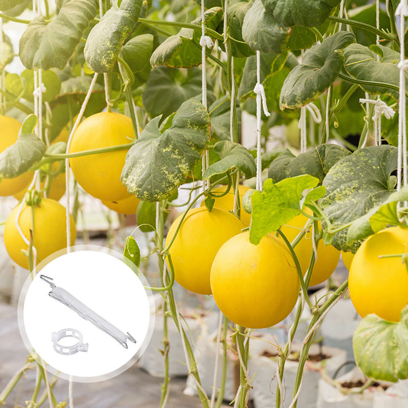 Plant Climbing Hooks Set Tomato Stand J Hook with Vine Clips for Vegetable