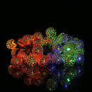 Solar Moroccan Ball Lamp String LED Metal Hollow Colorful Fairy Light (7m)