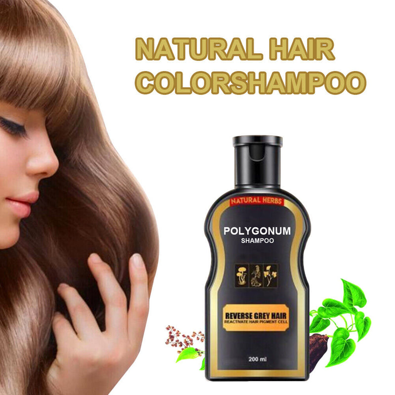 Polygonum Plants Extract Shampoo Anti-hair Loss Treatment Shampoo for Men Wom