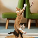 Cat Wand Toys - Durable Pole with High Strength & Toughness Ideal Toys for Pets