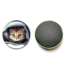 Cat Fridge Magnet Cute Animal Refrigerator Magnets Cabochon Refrigerator R5C9