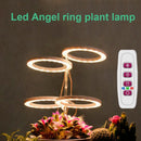 Angel Ring Plant Light Sunlight Phytolamp USB Nursery Lamp (One for Four)