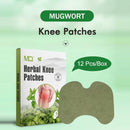 Unisex Use Wormwood Knee Pain Relief Patch Relieve Joint Stiffness Plasters