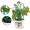 Leaf Shape Garden Trellis for Mini Climbing Plants Potted Plant Support Rack
