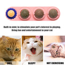 #A Funny Catnip Ball Set Cat Supplies Bite Resistance for Cats Over Six Months O