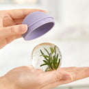 Ice Ball Mold - Ice Cube with Lids Molds for Whiskey Cocktails Drinks Coffee