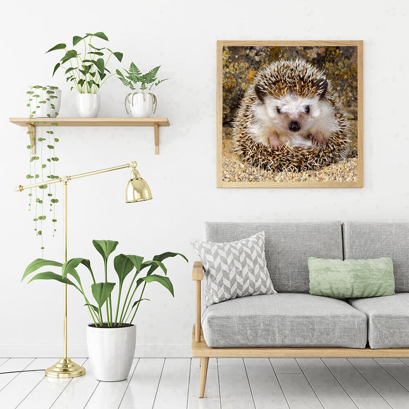 5D DIY Full Round Drill Diamond Painting Hedgehog Color Handmade Needlework Sets