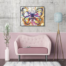 DIY Pictures By Numbers Butterfly Kits Acrylic Paints Coloring Oil Painting