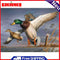 Wild Duck on Lake Oil Paint By Numbers DIY Acrylic Painting on Canvas Draw Kit