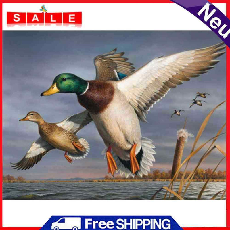 Wild Duck on Lake Oil Paint By Numbers DIY Acrylic Painting on Canvas Draw Kit
