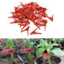 50pcs Plastic Grafting Clips Garden Vegetable Eggplant Vine Clamp (Flat) Newly