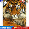 Tiger Animal Digital Painting Hand Painted Coloring By Numbers Decor (S20)