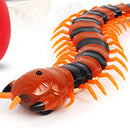 Remote Control Centipede Cat Interactive Toys with Egg Toys (Intermediate)