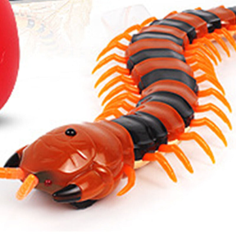 Remote Control Centipede Cat Interactive Toys with Egg Toys (Intermediate)