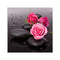 5D Rose DIY Diamond Painting Cross Stitch Needlework Home Decor Craft