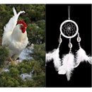 Monocyclic Teeth  Dream Catcher Wall Hanging Home Car Decor Craft (White) Newly