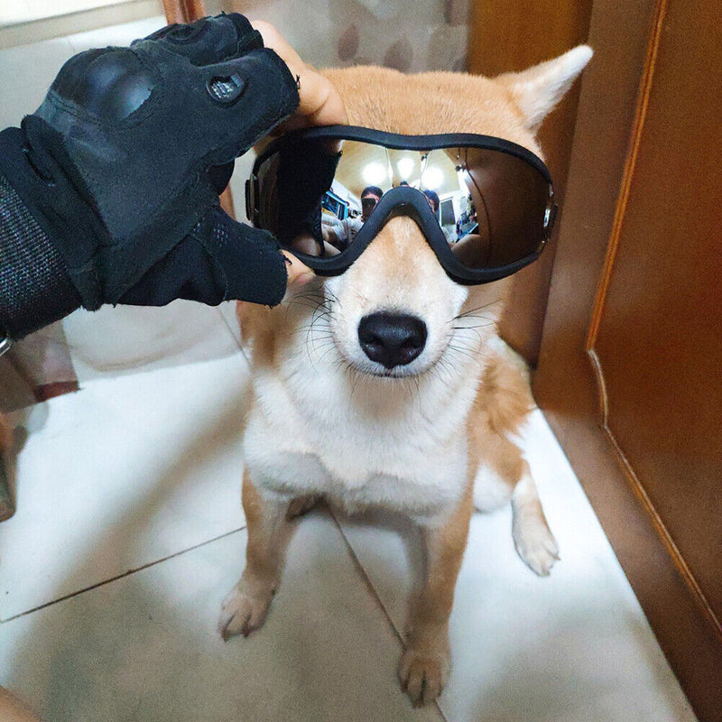Pet Dog Sunglasses Fashion Cool Foldable Puppy Glasses Waterproof Goggles Newly