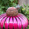 Metal Flower Bird Feeder Bottle Sensation Stand Coneflower Garden Decor