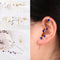 Zirconia Lightning Crystal Stud Climber Earrings Ear Wrap Crawler Hook Earrings