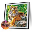 5D DIY diamond painting full circle diamond tiger w798