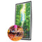 Full Round Diamond Painting 5D Bamboo Forest Path DIY Decoration Handwork Gifts