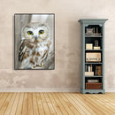 5D DIY Diamond Painting Full Drill Mosaic Kits Owl Cross Stitch Embroidery Decor