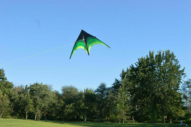 Large Delta Kite For Kids And Adults Single Line Easy Kite w Fly Handle To S9S8