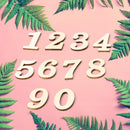 10pcs Rustic Wooden Digital Number DIY Handcraft Table Scatter Home Decorat