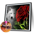 5D Diamond Painting Kit DIY Wolf Full Round Drill Mosaic Picture (HJ609) Newly