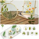 Real Pressed Dry Flowers Butterfly Stickers Tweezers & Leaves Kit Crafts