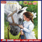 Girl Horse Oil Paint by Numbers Hand Painted Frameless Picture Home Ornamen