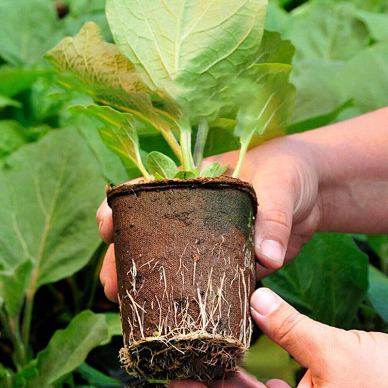 50pcs Round Paper Pulp Peat Flower Pot Plant Flower Biodegradable Nursery Cups