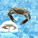 Floating Pool Thermometer Pool Accessories for Water Temperature (Crab)