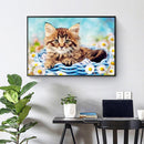 DIY Digital Oil Painting Kit Cat in Basket Abstract Acrylic Number Picture