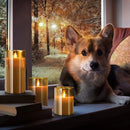 3pcs set Battery Operated With Remote Control Flameless Flickering LED Candles
