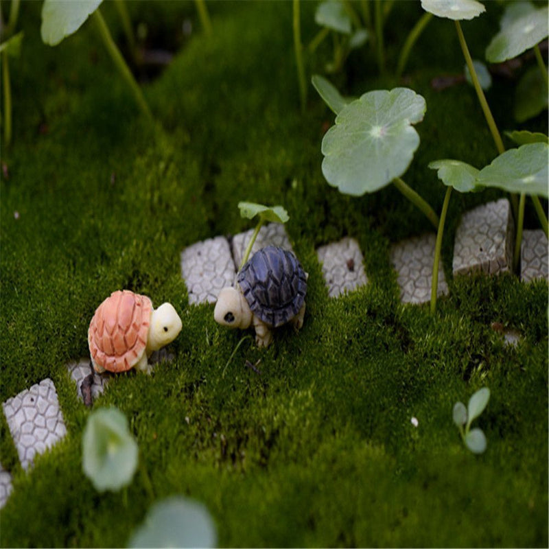 DIY Crafts Garden Bonsai Moss Fish Decoration Mini Turtles Tank Decor Ornaments