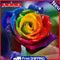 5D DIY Full Drill Diamond Painting Colorful Flower Cross Stitch Mosaic Decor Kit