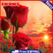 Rose Flower 5D Diamond Painting Embroidery Full Round Drill Cross Stitch DIY Kit
