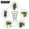 Climbing Vine Rack Plant Potted Support Frame Flower Vegetables Bracket Garden: