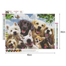 Animals 5D DIY Full Drill Diamond Painting Cross Stitch Mosaic Craft Kits Dec