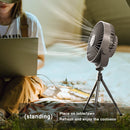 Remote Control Floor Table Air Cooler Ceiling Fan with Tripod LED (Grey)