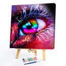 DIY Eye and Butterfly Oil Paint by Numbers Kit Drawing on Canvas Pictures Decor