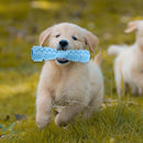 Dog Toys Toothbrush TPR Chew Teeth Cleaning Pet Molar Brushing Stick (Blue)