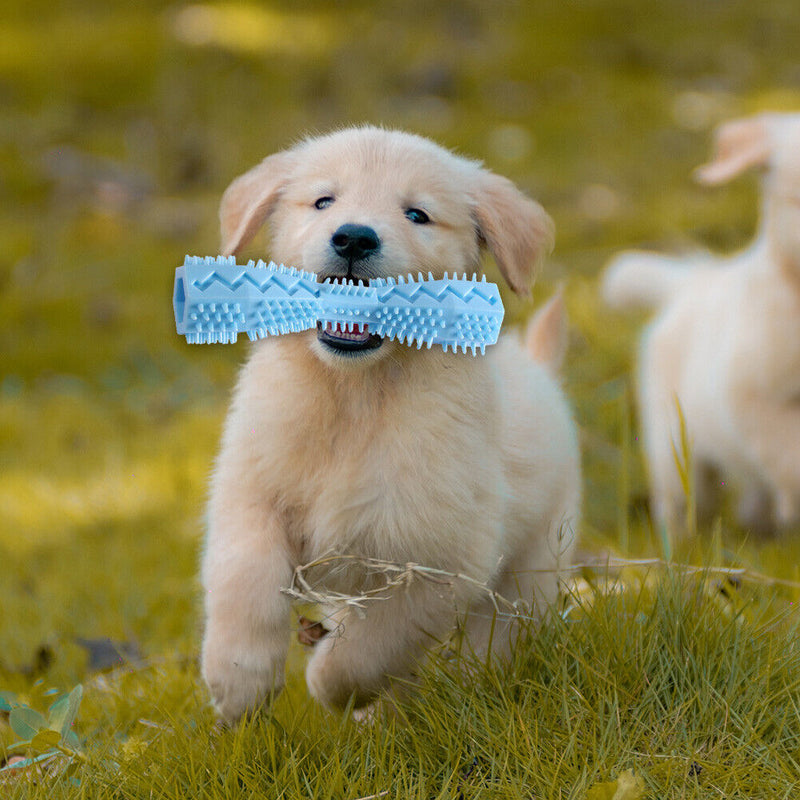Dog Toys Toothbrush TPR Chew Teeth Cleaning Pet Molar Brushing Stick (Blue)