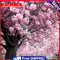 5D DIY Diamond Painting Cherry Tree Full Round Rhinestone Art Craft Needlework