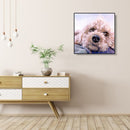 Pet Dog Frameless DIY Oil Paint by Numbers Hand Painting Wall Art Craft