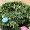 Silk Wreath Green Leaf Iron Wire Artificial Vine Wedding Gift Decor TOP DIY P5G9