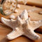 Elegant Beach Girls Lady Hairpin Star Sea Starfish Hair Clip Jewelry For 2 Pcs
