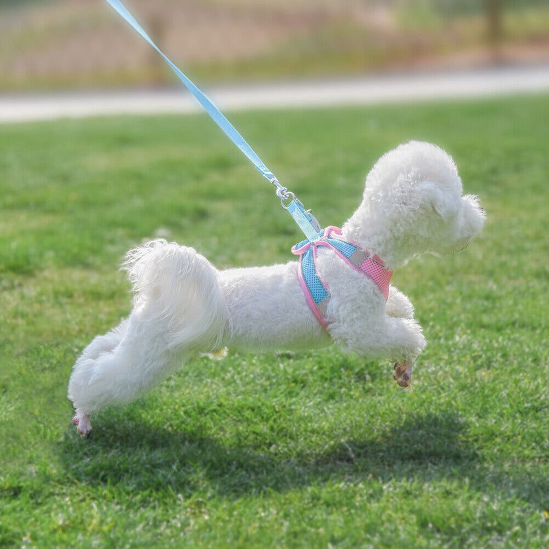 Adjustable Reflective Breathable Pet Harness with Lead Leash for Dog Cat Vest