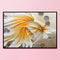Full Cross Stitch Cotton Goldfish 11CT DIY Art Stamped DIY Craft Artwork Kits